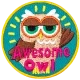 Awesome Owl (Iron-On)