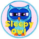 A very tired blue owl squinting to keep awake. The words Sleepy Owl are at the bottom.