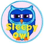 A very tired blue owl squinting to keep awake. The words Sleepy Owl are at the bottom.