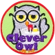 Clever Owl (Iron-On)