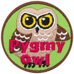 A brown owl with the words Pygmy Owl across the bottom.