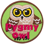 A brown owl with the words Pygmy Owl across the bottom.