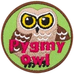 A brown owl with the words Pygmy Owl across the bottom.