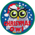 A snowy white owl wears a Santa hat. The words Christmas Owl are across the bottom.