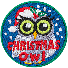 A snowy white owl wears a Santa hat. The words Christmas Owl are across the bottom.