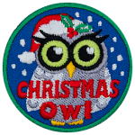 A snowy white owl wears a Santa hat. The words Christmas Owl are across the bottom.