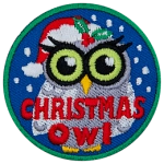A snowy white owl wears a Santa hat. The words Christmas Owl are across the bottom.