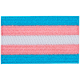 Transgender Pride Flag (Iron-On)