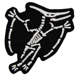 The skeleton of a Pteranodon.