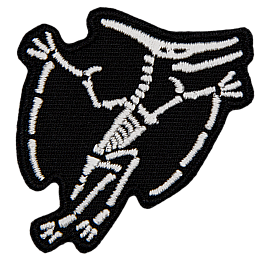 The skeleton of a Pteranodon.