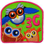 Three different owl ages with the symbols 3G next to them.