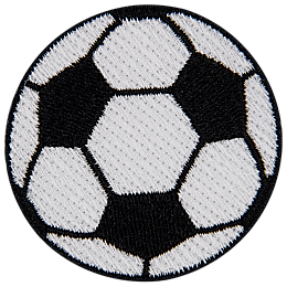 A soccer ball.