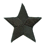 A black, five-pointed star.