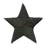 A black, five-pointed star.