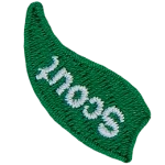 A green flame with the word Scout on it.