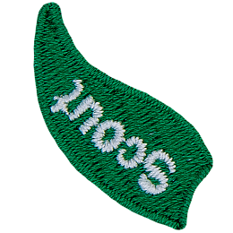 A green flame with the word Scout on it.