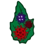 Three germs in red and purple are on a green leaf.