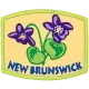 Provincial Flower - New Brunswick (Iron-On)