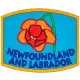 Provincial Flower - Newfoundland and Labrador (Iron-On)