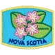 Provincial Flower - Nova Scotia (Iron-On)