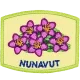 Provincial Flower - Nunavut (Iron-On)