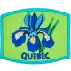 Provincial Flower - Quebec (Iron-On)