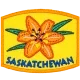 Provincial Flower - Saskatchewan (Iron-On)
