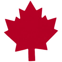 A red maple leaf.
