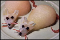 Two pears made to look like mice.