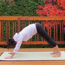 2484 EMP016 yoga downward facing dog pose.jpg