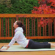 2485 EMP016 yoga cobra pose.jpg