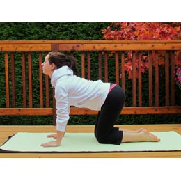 A girl sits on her hands and knees.