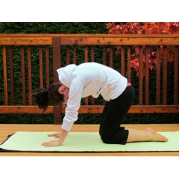 A girl curves her back doing the Cat pose.