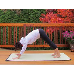 A girl standing on her hands and feet with her body bent at an angle.