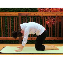 Cat Pose Step 2