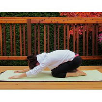 Tortoise Pose