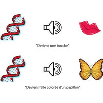 A diagram of DNA instructions.