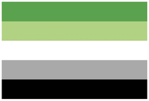 Five horizontal bars form the aromantic pride flag. From top to bottom, they are green, light green, white, grey, and black.
