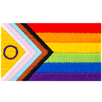 The progress pride flag is displayed with its rainbow of colours and arrow-shaped lines.