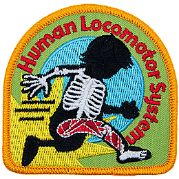eck019 human locomotor 260.png