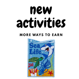 more sea life activities cover.png
