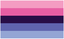 The omnisexual pride flag is made up of five horizontal bars. From top to bottom, they are light pink, pink, dark purple, blue, and light blue. 